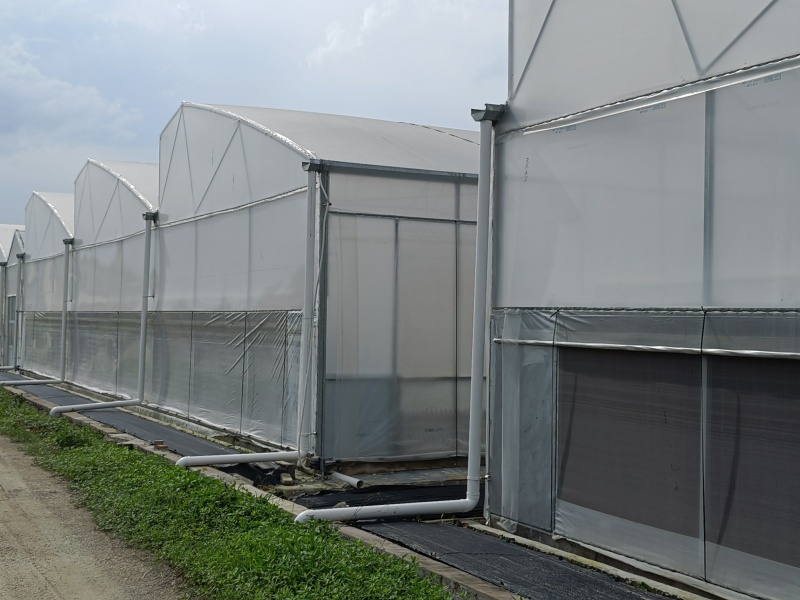 polypropylene greenhouse