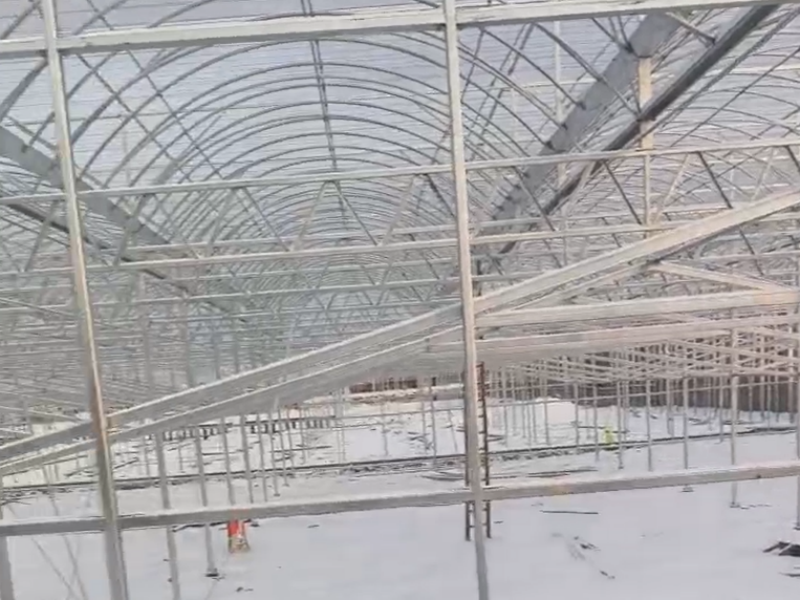 polycarbonate greenhouse