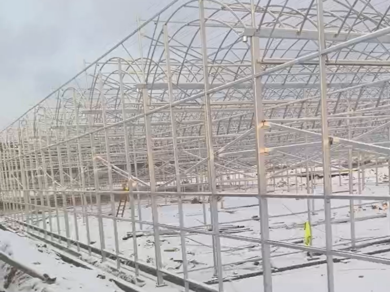 polypropylene greenhouse
