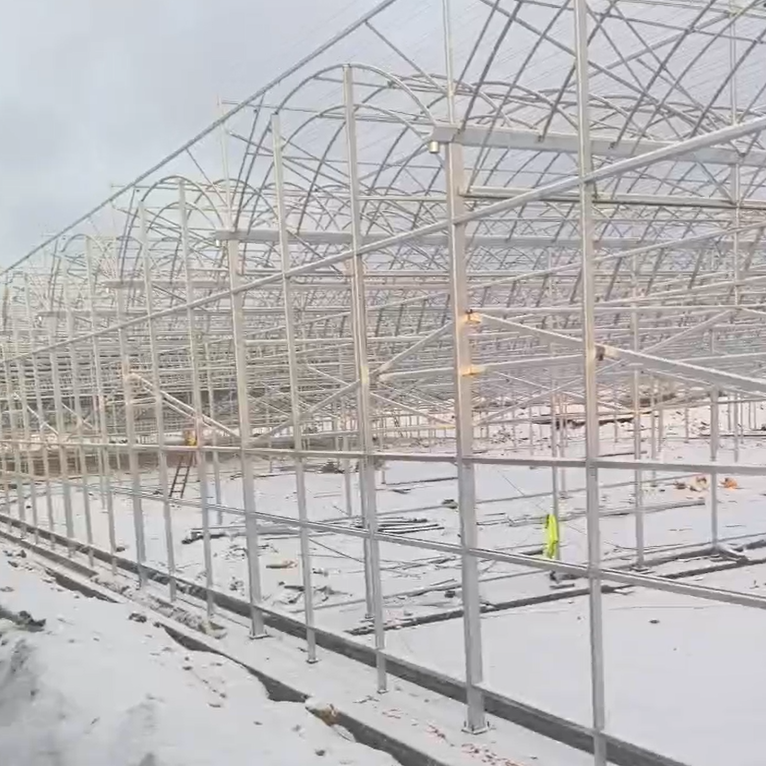 7000 square meters plastic film greenhouse for Phalaenopsis is under construction at Qindao