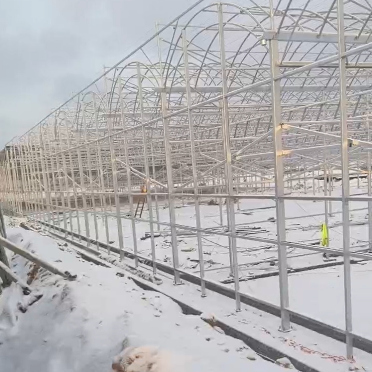 Compared with other greenhouses, what are the advantages of double-arch film greenhouse?