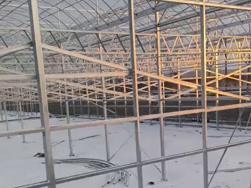 polycarbonate greenhouse