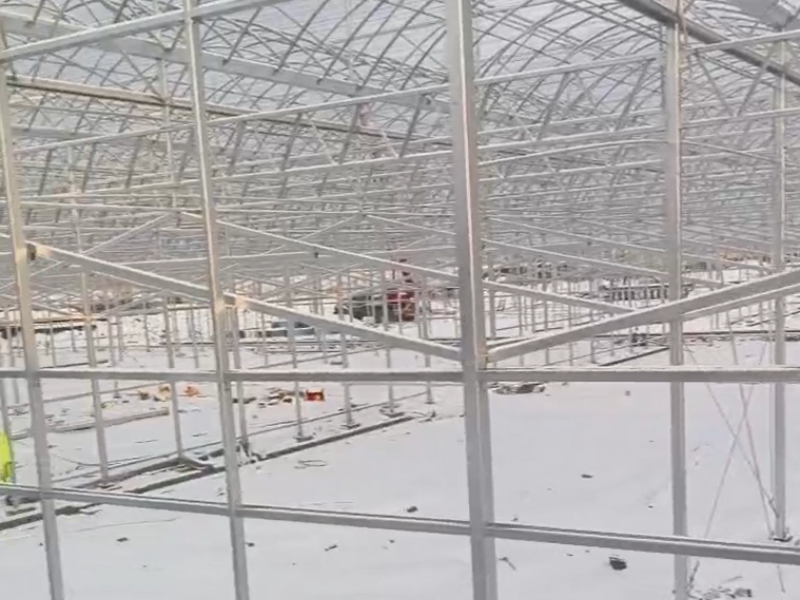 polypropylene greenhouse