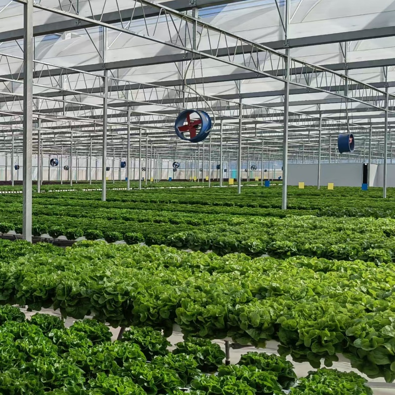 Pipeline Hydroponics Pipeline Hydroponics