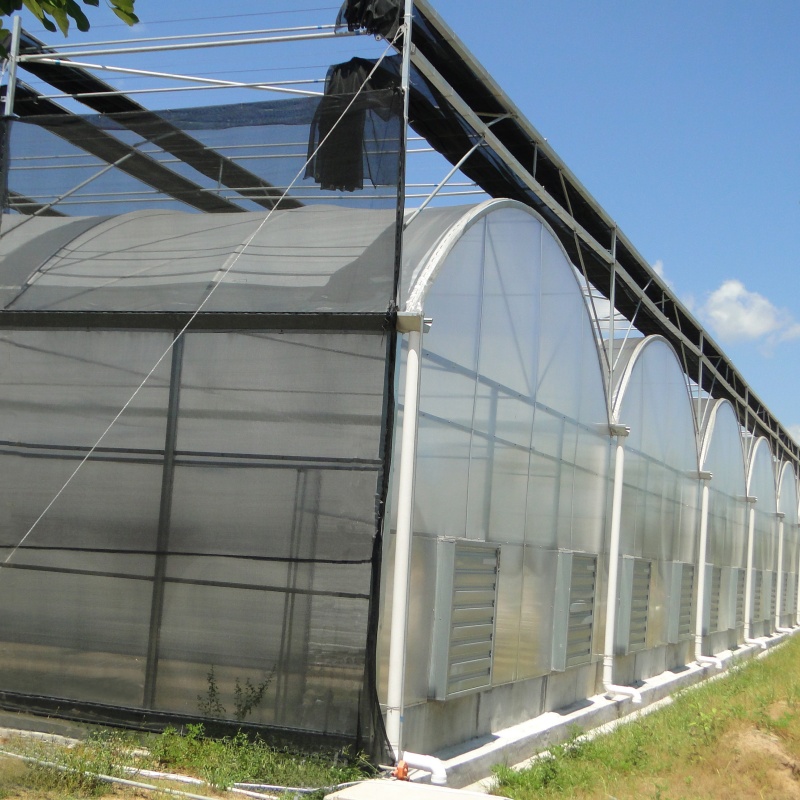 Forecast of the development trend of the global plastic film greenhouse industry