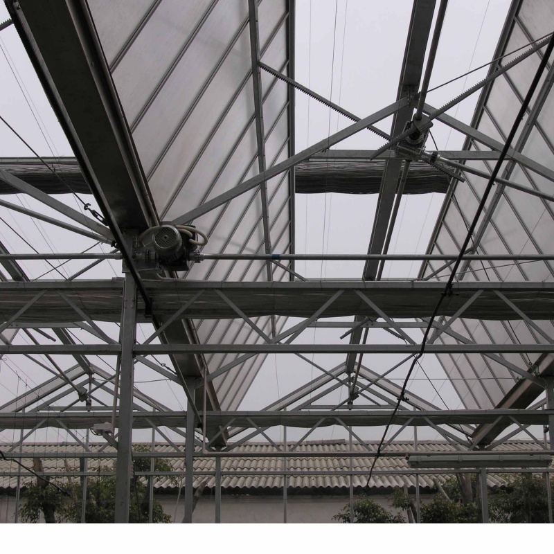A brief introduction to the fully open skylight polypropylene greenhouse for producing leafy vegetables.