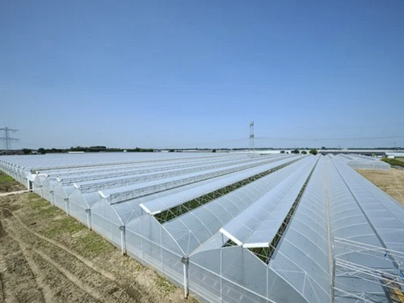 polypropylene greenhouse