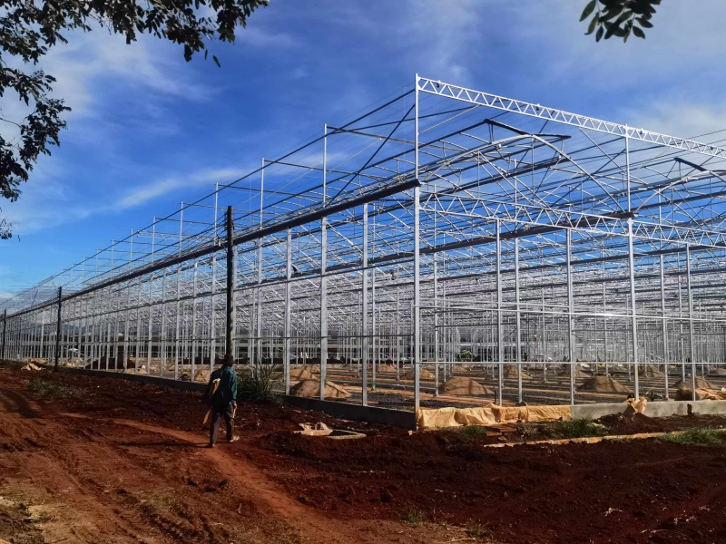 plastic polytunnel greenhouse