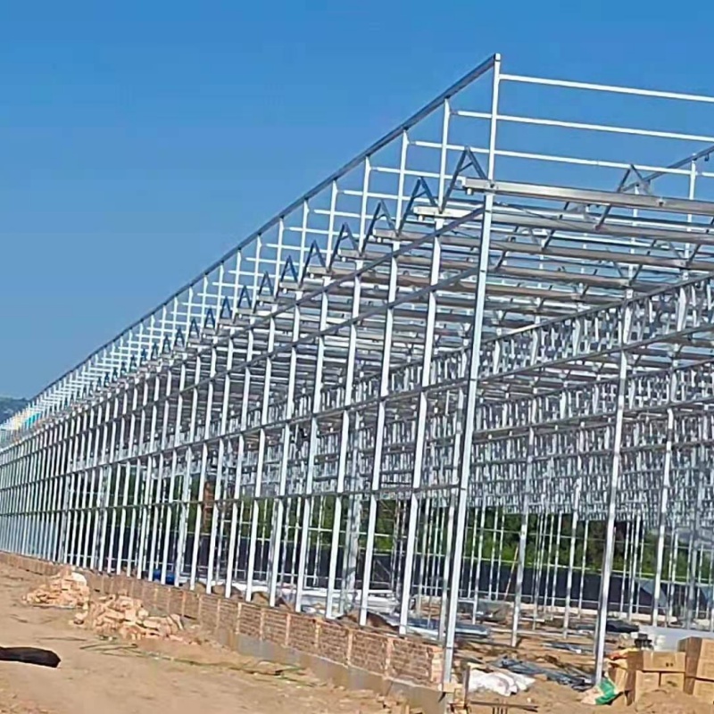 Poly greenhouse for flower installation at Tianshui, Ganshu, North West China.