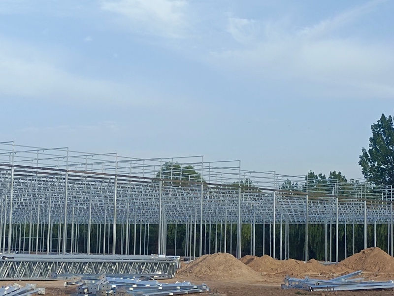 medium plastic greenhouse