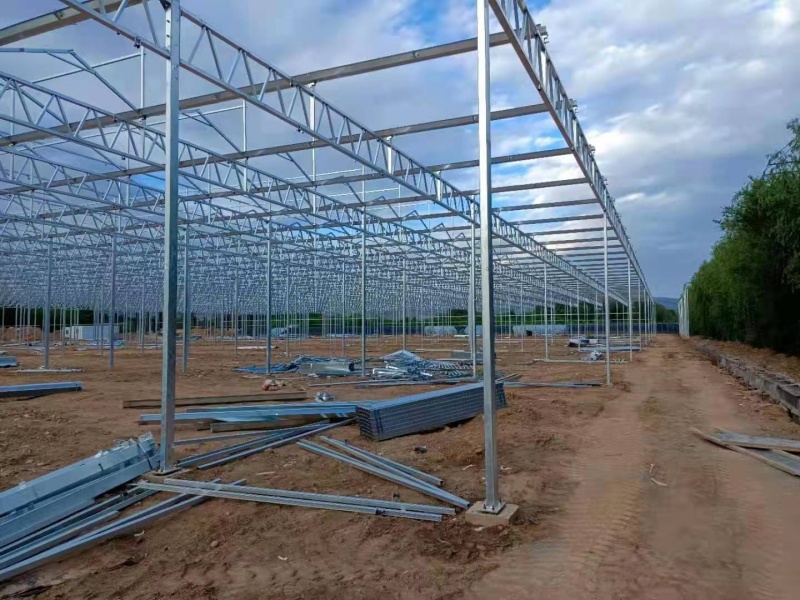 poly greenhouse