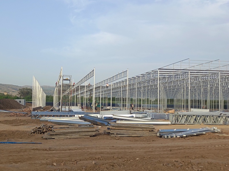 double plastic greenhouse