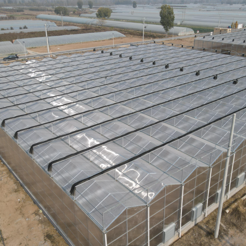 Main features and uses of the venlo plastic greenhouse