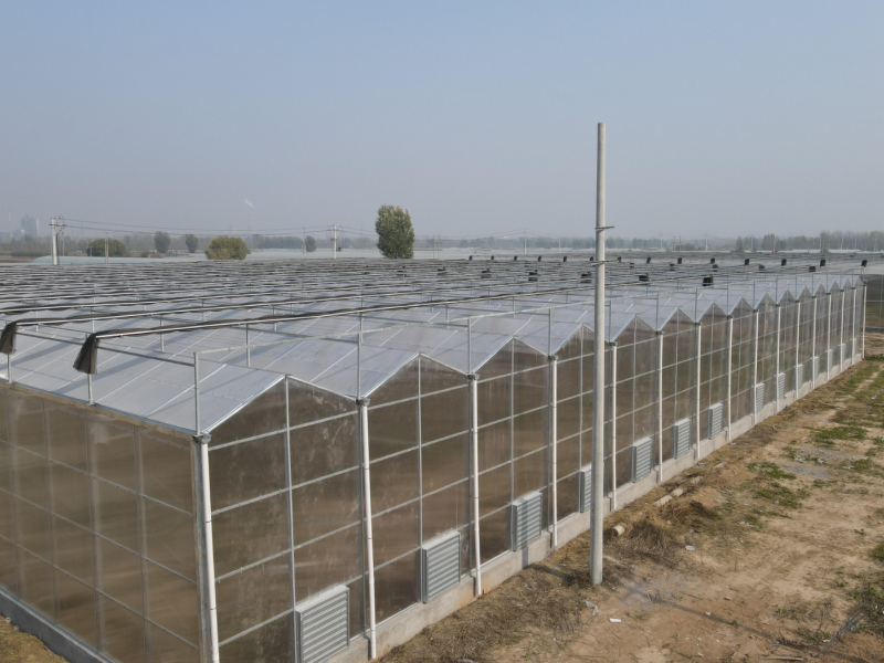 double plastic greenhouse