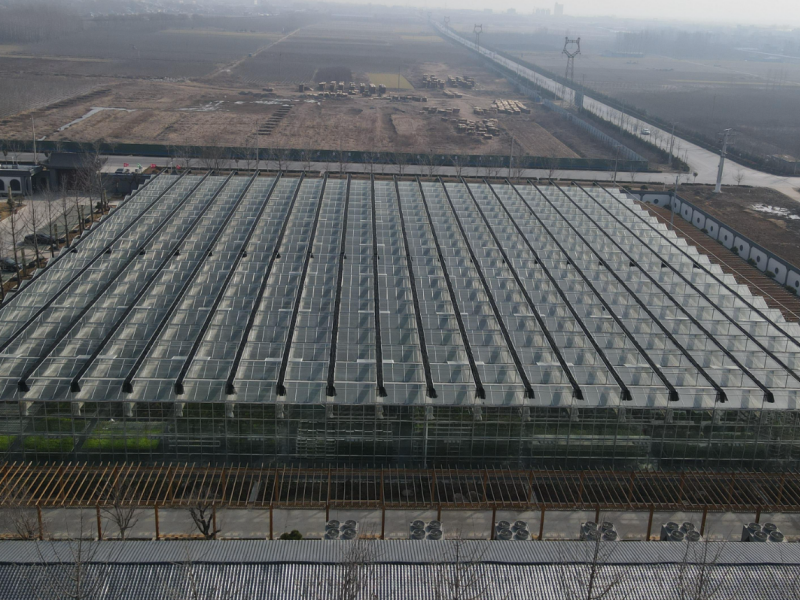 medium plastic greenhouse