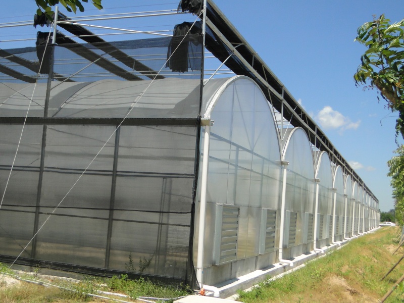 greenhouse greenhouse