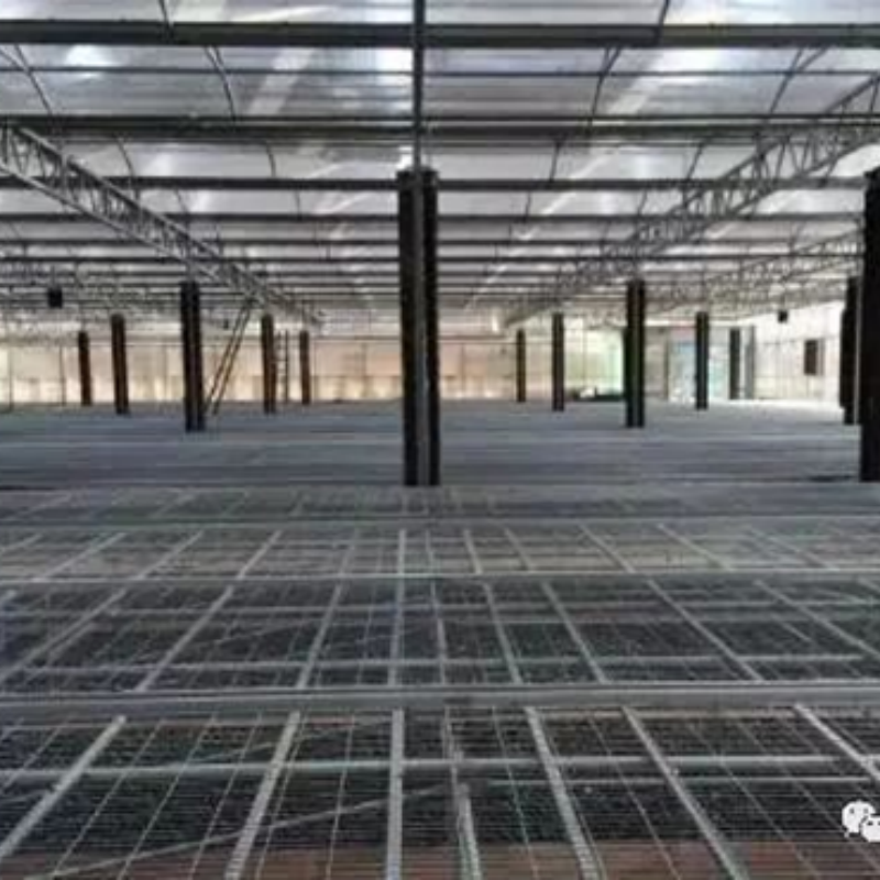 Our company established the Phalaenopsis greenhouse export standards to the United States in February 2017.