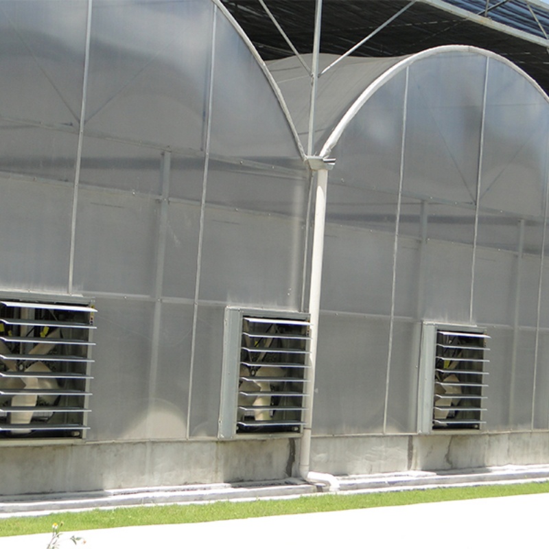 Which regions have a greater demand for dome-shaped plastic film greenhouses?