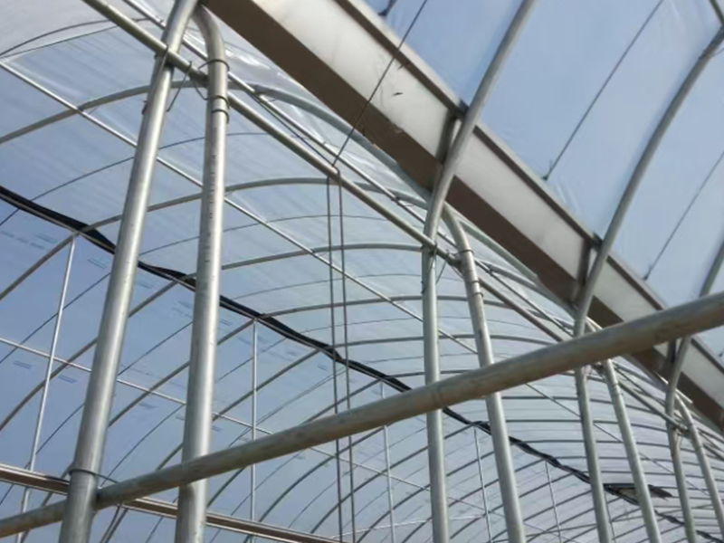 round plastic greenhouse