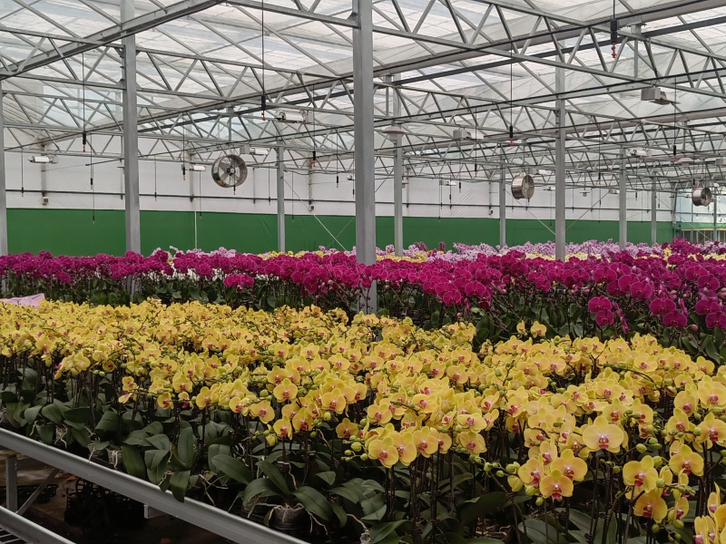 reinforced plastic greenhouse