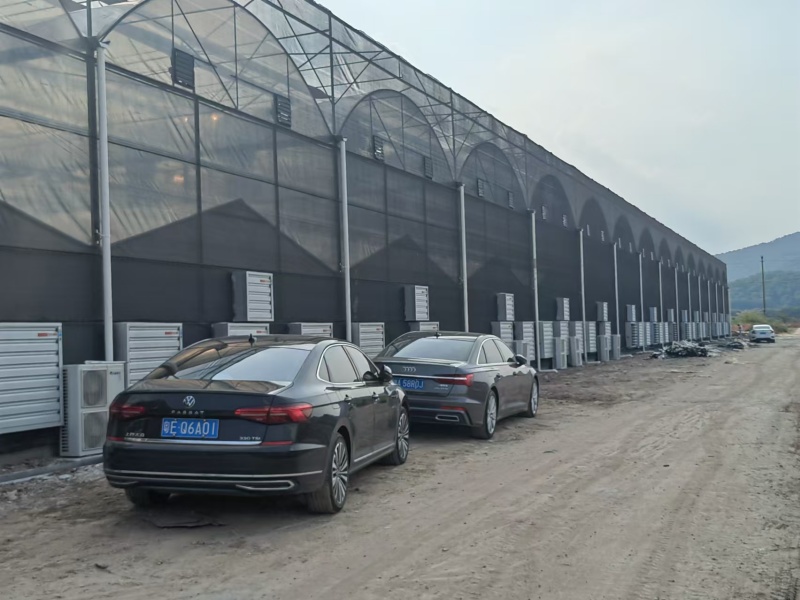 strong plastic greenhouse