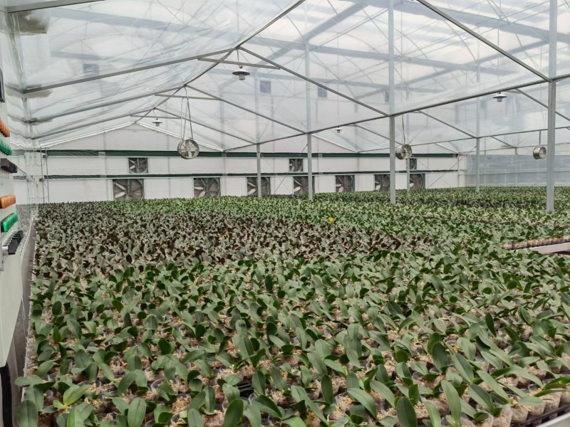 polypropylene greenhouse