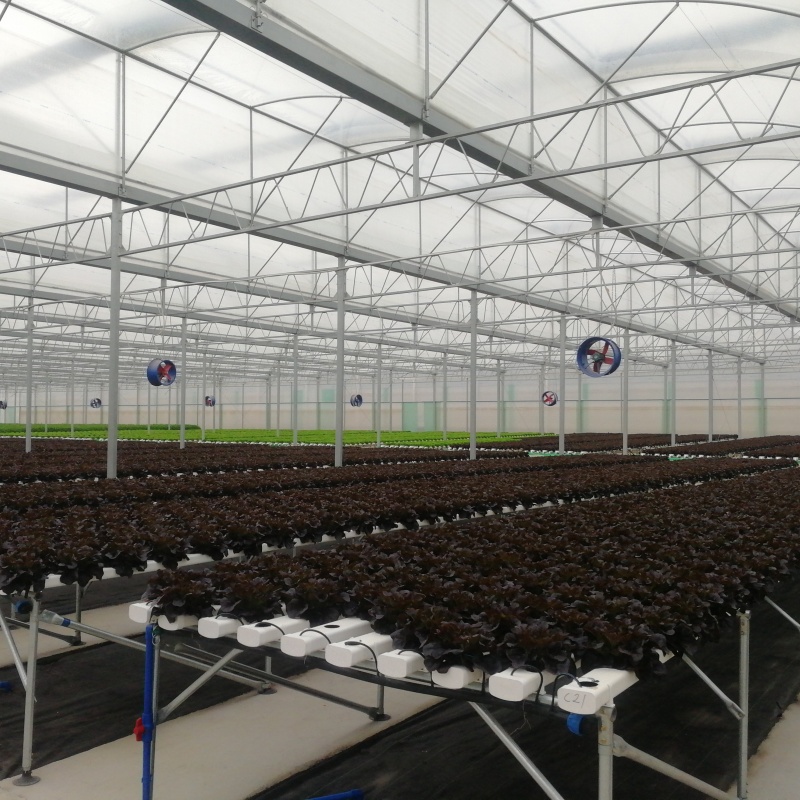 How to configure greenhouse equipment to grow potted flowers such as Phalaenopsis?
