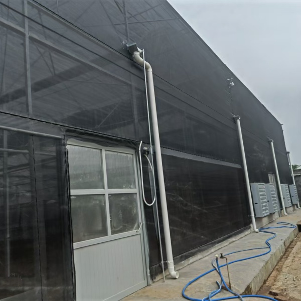 polythene greenhouse polythene greenhouse