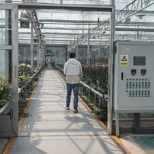 green house green house