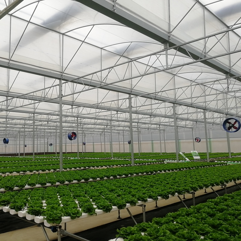 How to optimize polypropylene greenhouse configuration to achieve high input-output ratio of fruit and vegetable planting