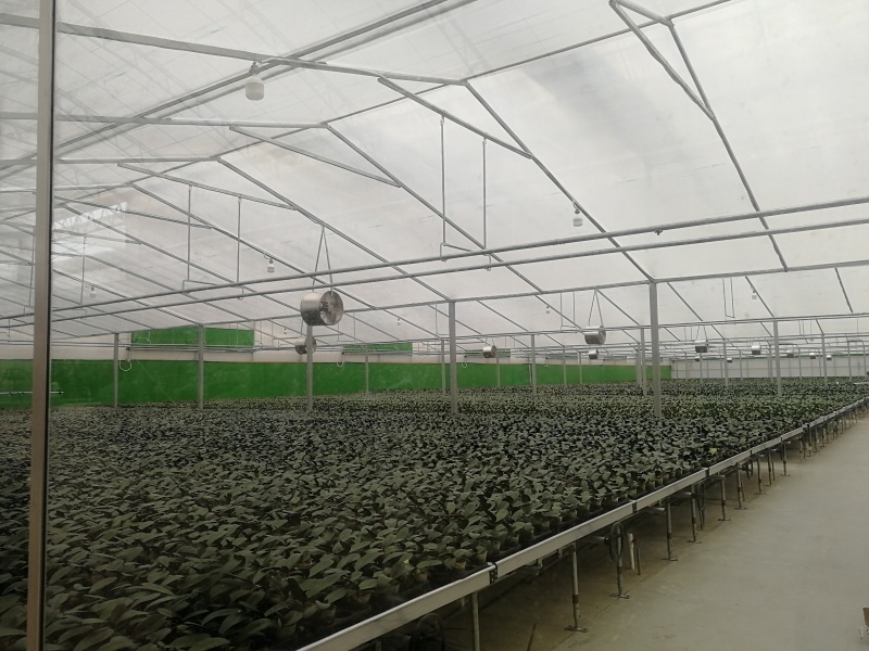 reinforced plastic greenhouse reinforced plastic greenhouse