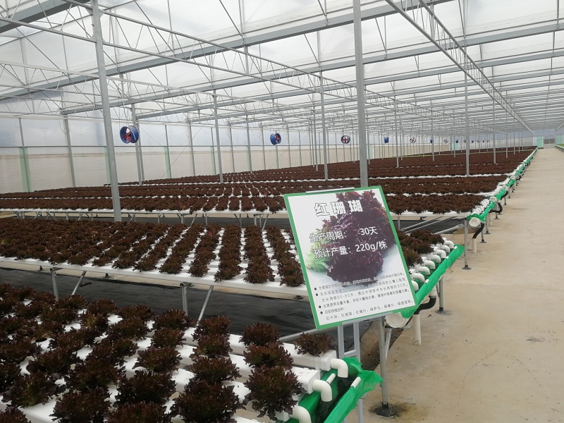 polypropylene greenhouse polypropylene greenhouse