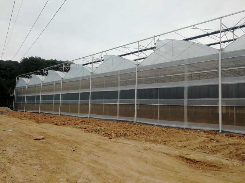 round plastic greenhouse round plastic greenhouse