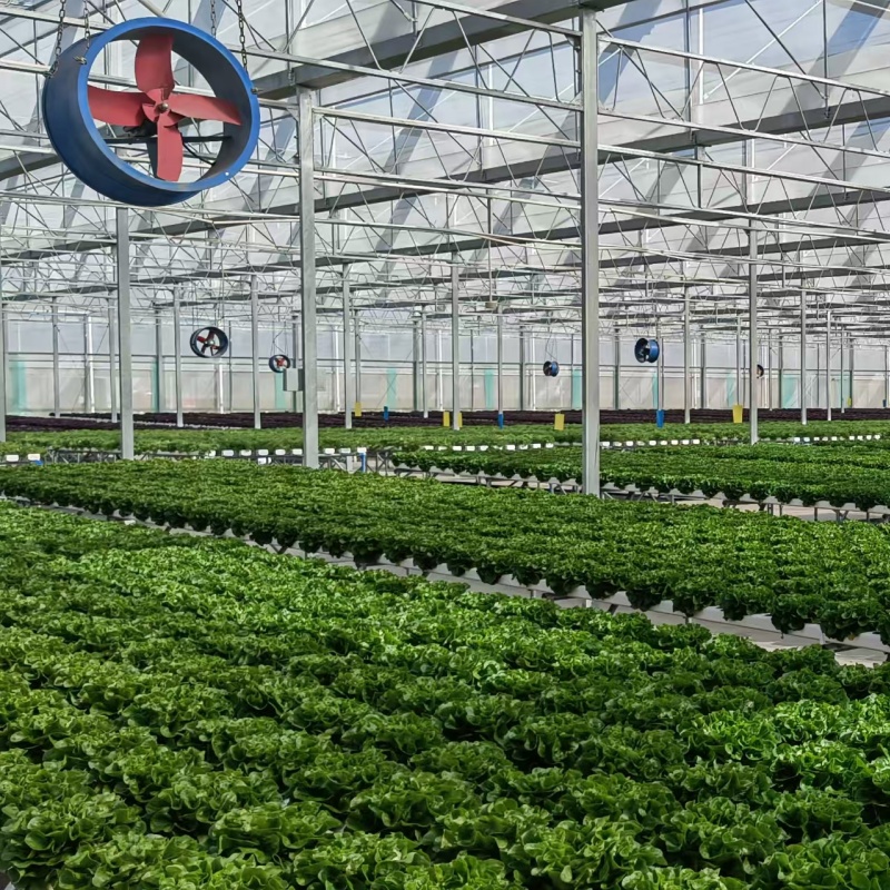 To grow leafy vegetables well, how to choose plastic greenhouse configuration under different climatic conditions?