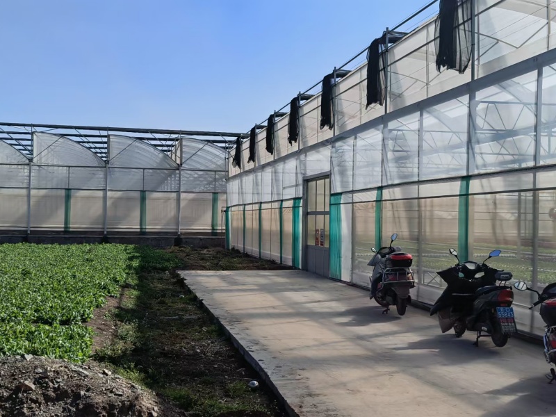 polythene greenhouse