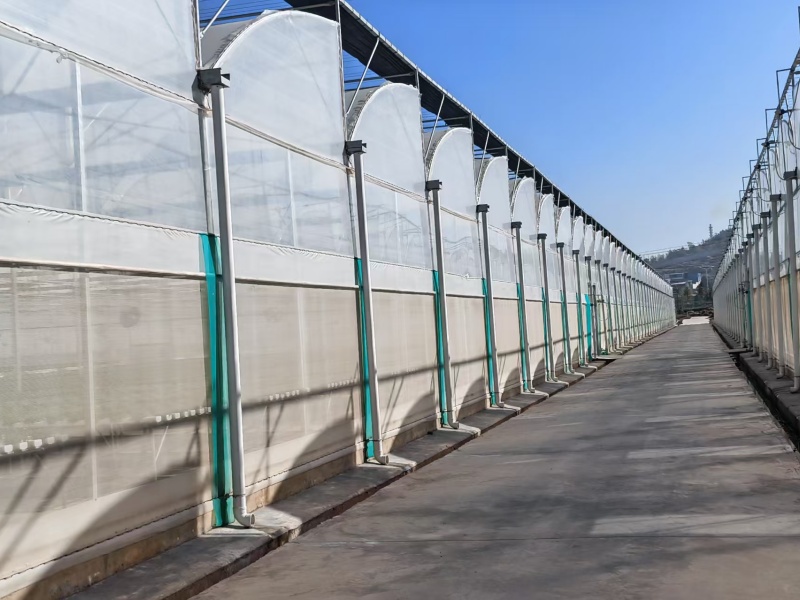 outdoor plastic greenhouse