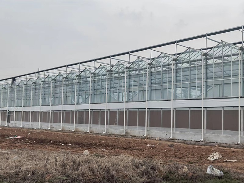 polycarbonate greenhouse