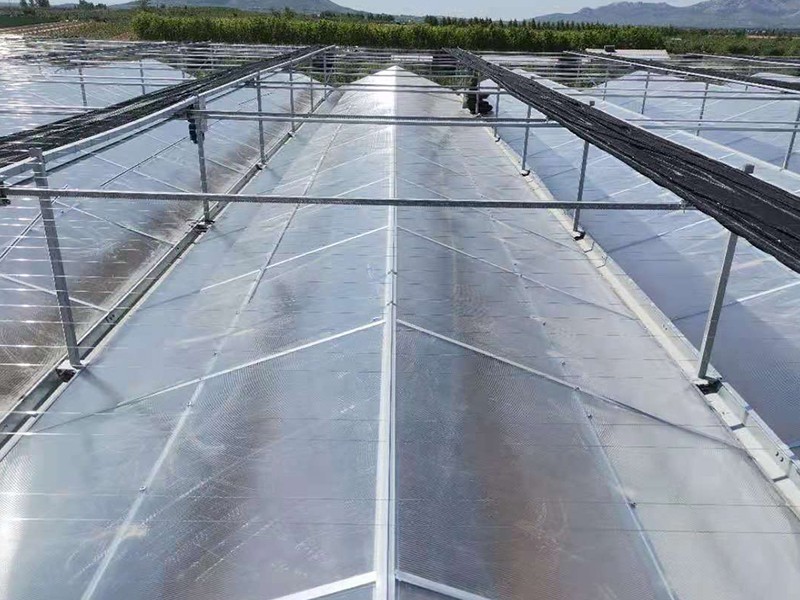 plastic film greenhouse