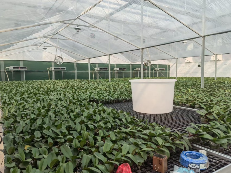 garden plastic green house garden plastic green house