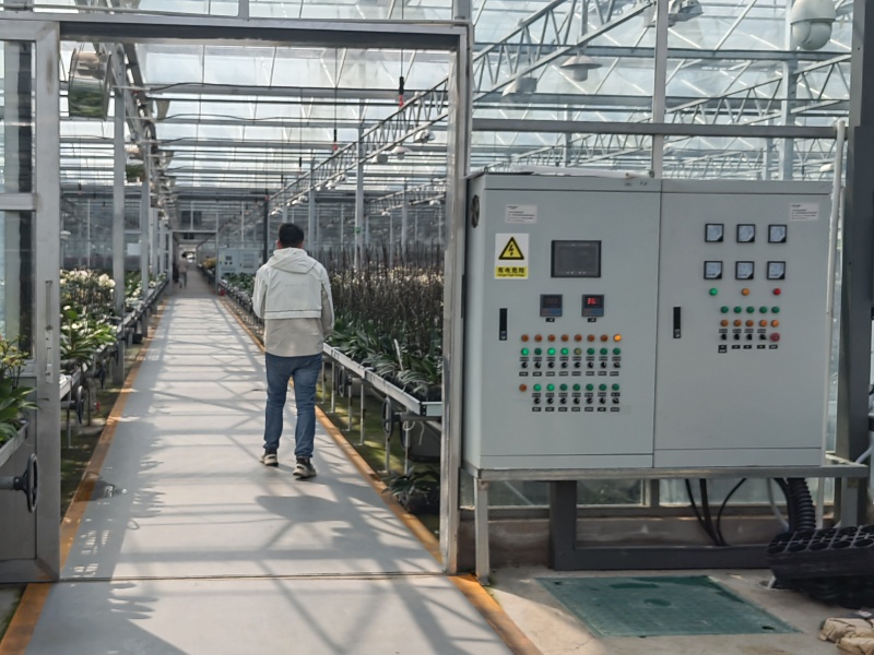 clear pvc greenhouse clear pvc greenhouse