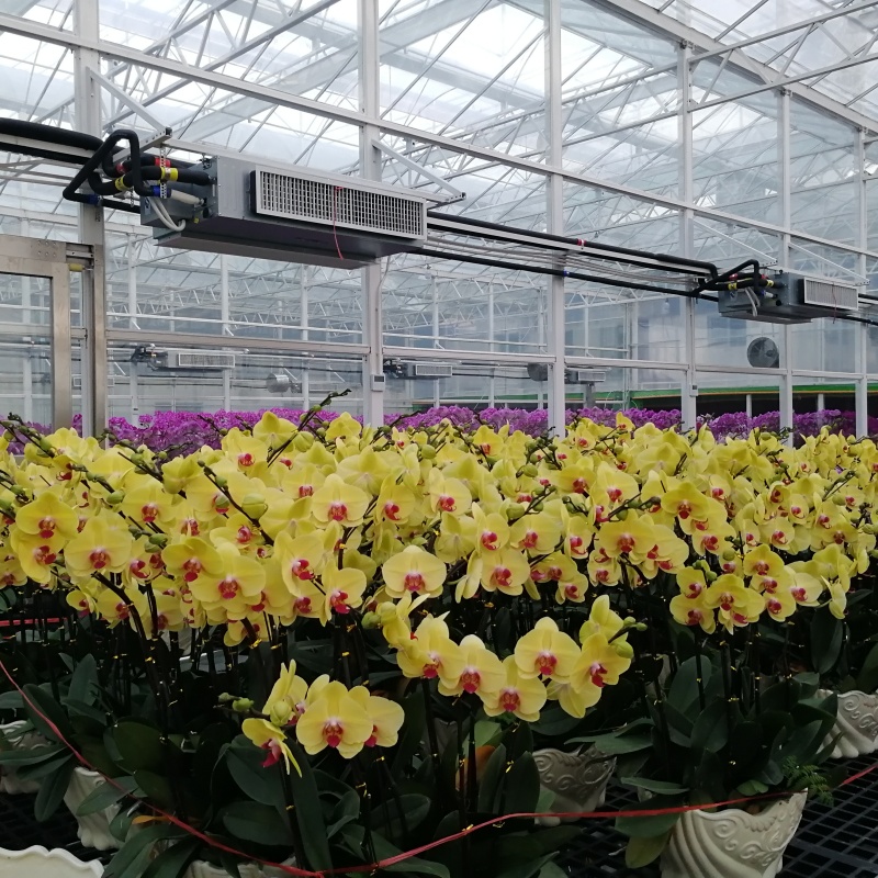 How to configure the greenhouse equipment of Phalaenopsis flowering greenhouse in different regions?