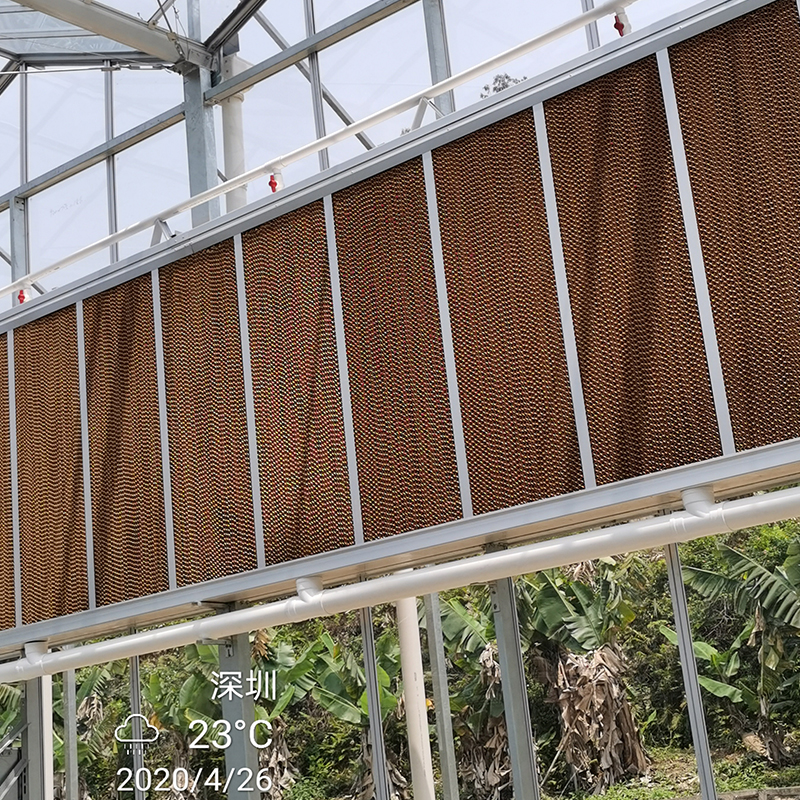 How to configure greenhouse equipment for Anthurium seedling production greenhouses in different regions