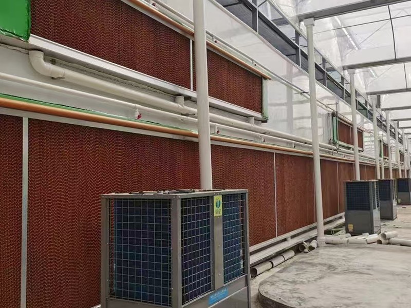 large pvc greenhouse