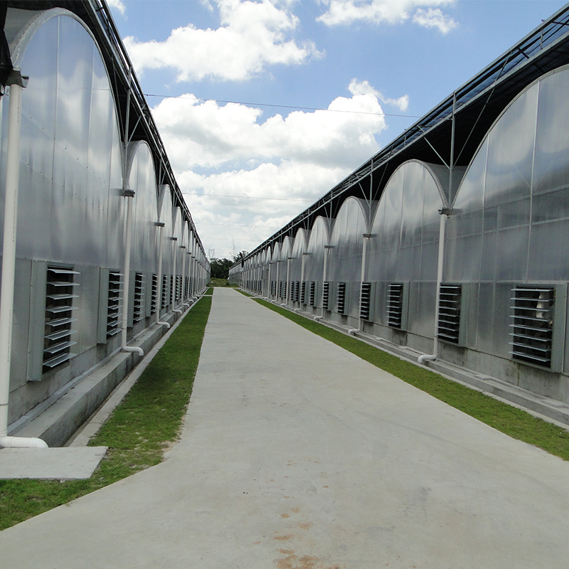 How to configure the greenhouse equipment in different regions for pineapple flower production greenhouses most appropriately?