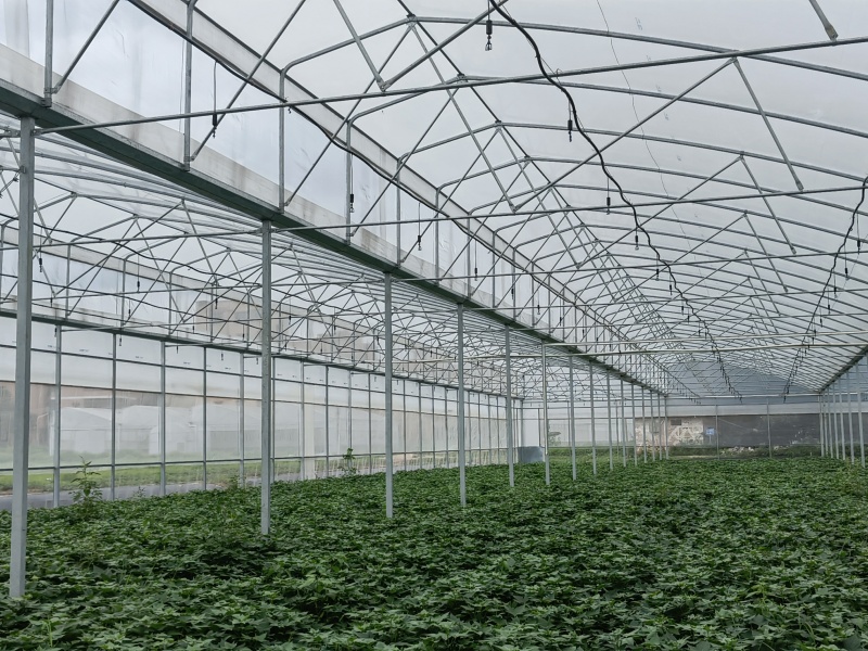 pvc hoop greenhouse pvc hoop greenhouse