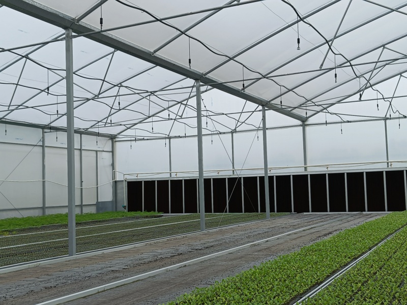 double plastic greenhouse double plastic greenhouse