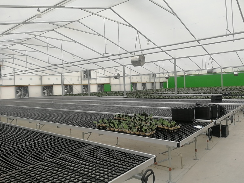 double layer polyethylene greenhouse double layer polyethylene greenhouse