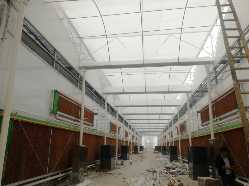 clear poly sheeting greenhouse clear poly sheeting greenhouse