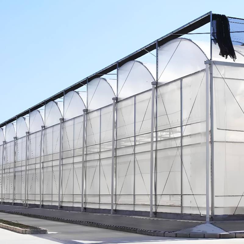 China's Greenhouse Industry Boom: Advancements in Automation, New Materials, and Smart Control.