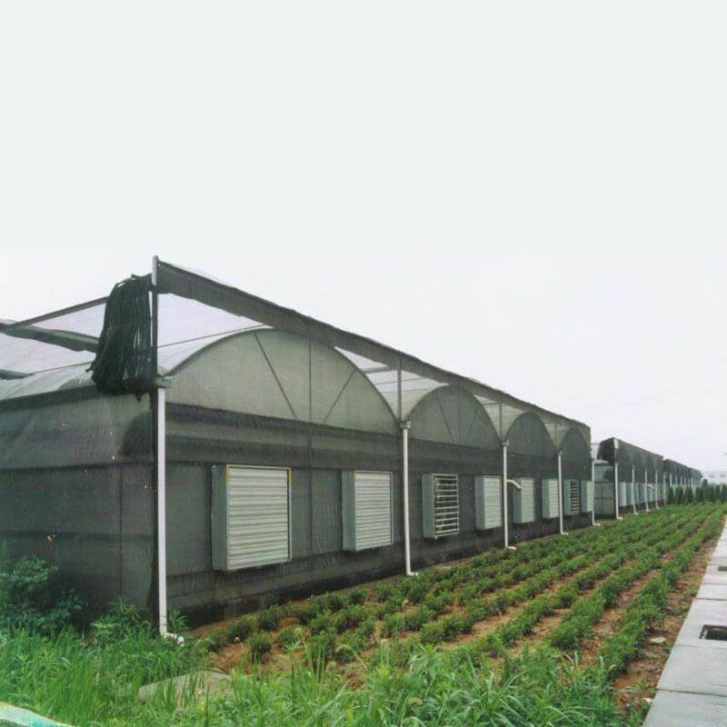 IoT + AI Technologies Usher in a New Era of Precision Agriculture